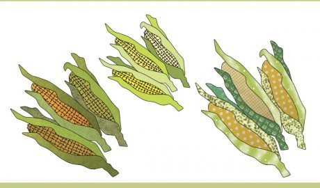 Free Corn on the Cob Vegetable Appliqué Pattern