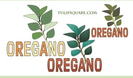 Free Herb & Spice Appliqué Pattern - Oregano