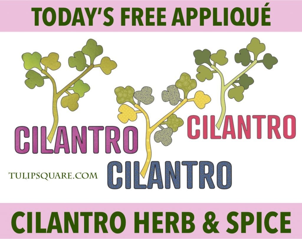 Free Herb & Spice Appliqué Pattern - Cilantro