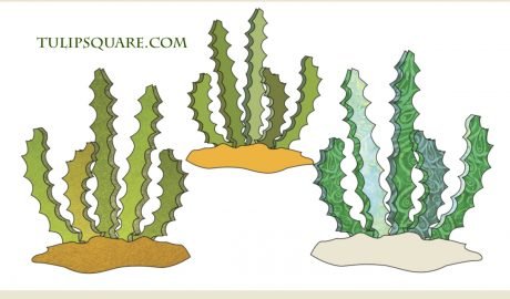 Free Appliqué Pattern - Spiky Cactus