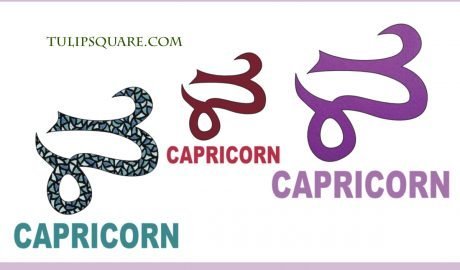 zodiac-capricorn-appliqué-pattern