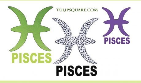 zodiac-pisces-appliqué-pattern