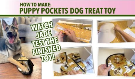 puppy-pockets-dog-treat-toy