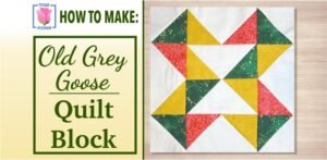 old-grey-goose-quilt-block-video-tutorial